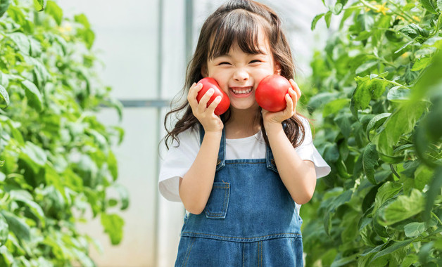 孕妇吃鸡蛋可保持记忆力